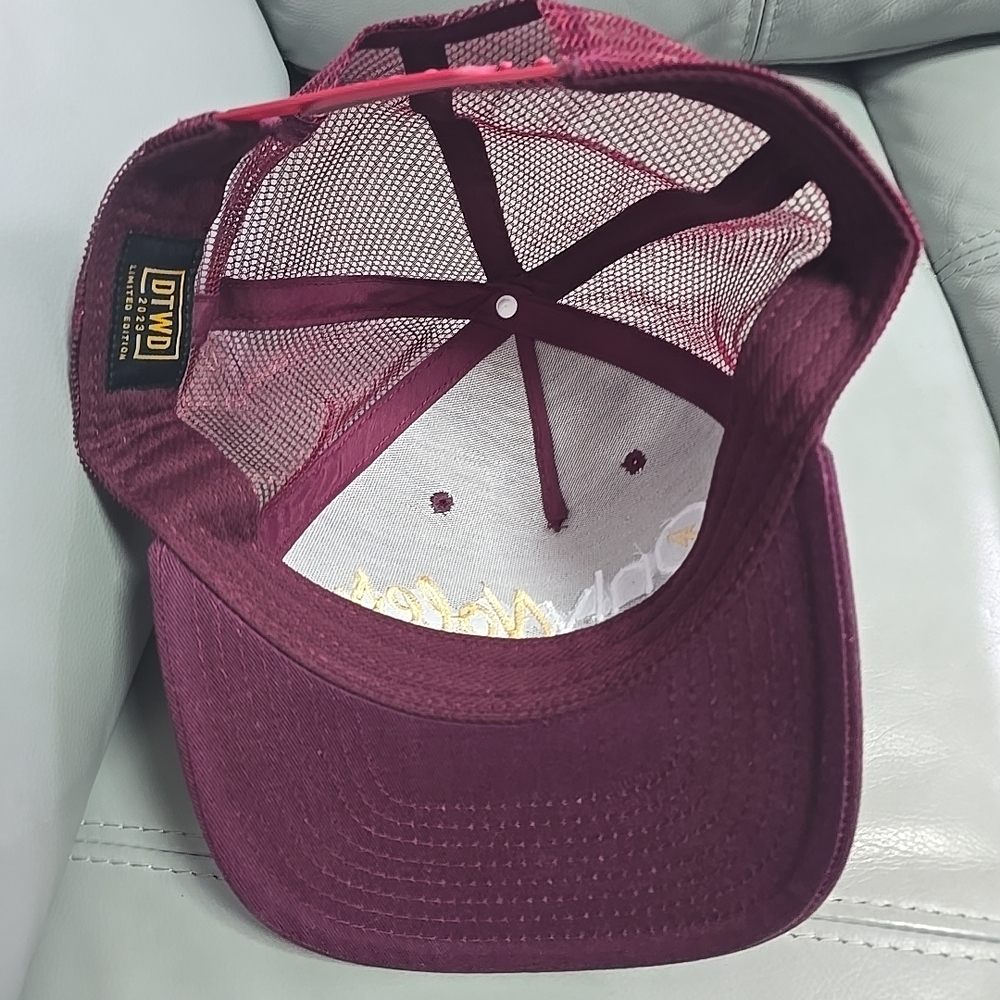 DTWD 2023 Limited Edition Only Noles FSU Florida State Seminoles Snapback Hat - Picture 4 of 5
